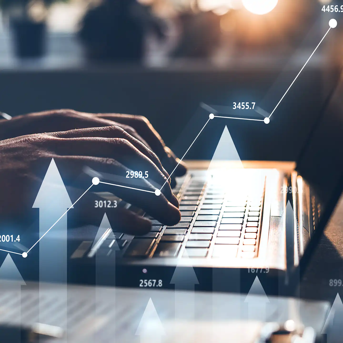 Estabilidad política